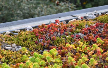 the cost of Durrington green roof installation