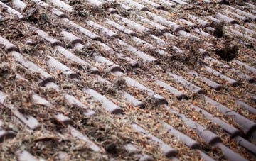 Durrington roof cleaning companies