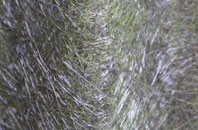 Durrington fibreglass roof work